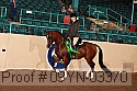 09yn-03370 thumbnail