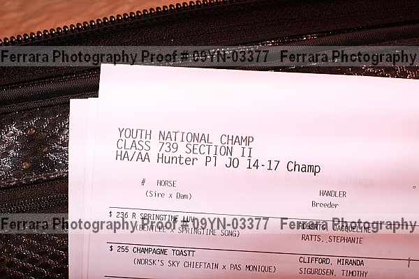 Proof Number 09yn-03377