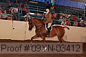 09yn-03412 thumbnail