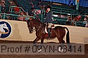 09yn-03414 thumbnail