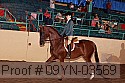 09yn-03569 thumbnail