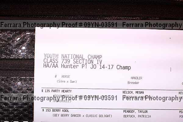 Proof Number 09yn-03591