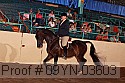 09yn-03603 thumbnail