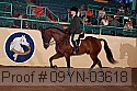 09yn-03618 thumbnail