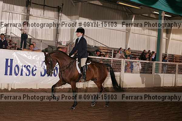 Proof Number 09yn-15103
