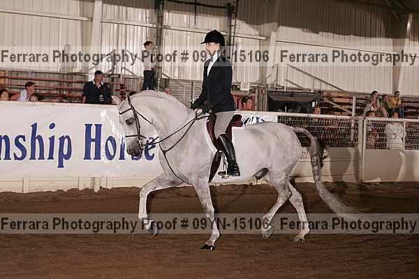 Proof Number 09yn-15106