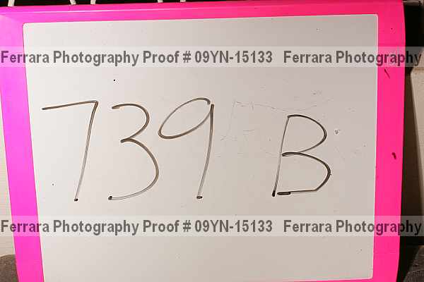Proof Number 09yn-15133