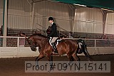 09yn-15141 thumbnail
