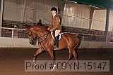09yn-15147 thumbnail