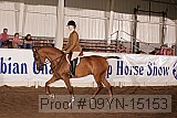 09yn-15153 thumbnail