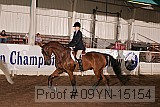 09yn-15154 thumbnail