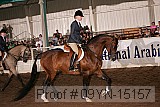 09yn-15157 thumbnail