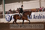 09yn-15158 thumbnail