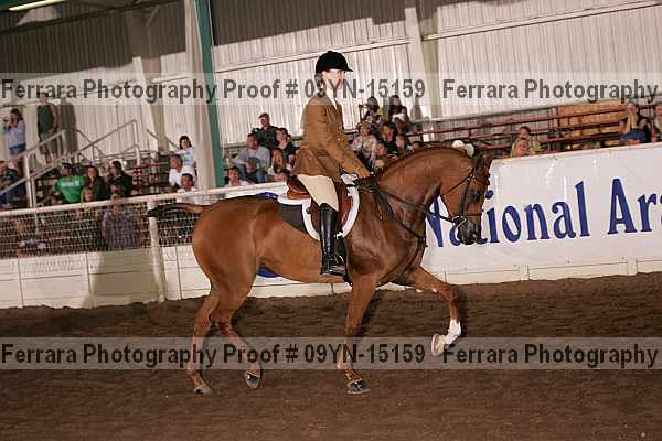 Proof Number 09yn-15159