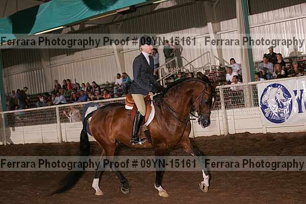 Proof Number 09yn-15161