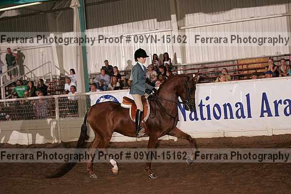Proof Number 09yn-15162
