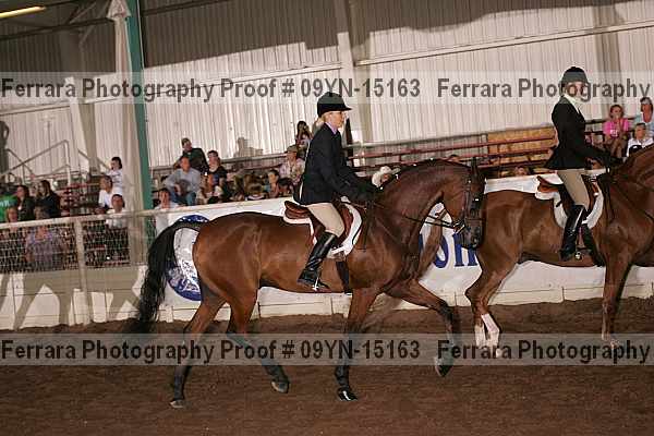 Proof Number 09yn-15163