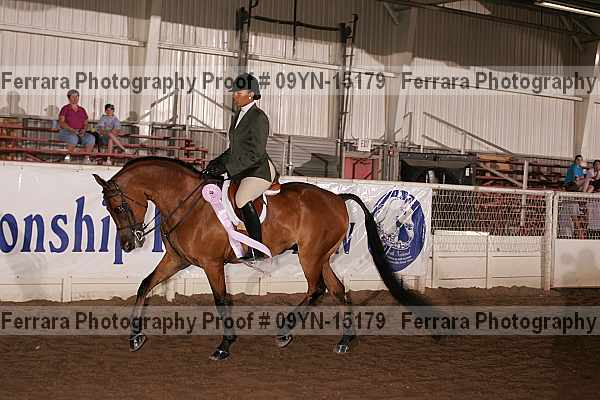 Proof Number 09yn-15179
