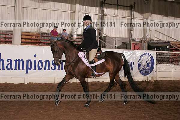 Proof Number 09yn-15181