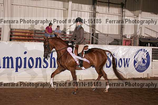 Proof Number 09yn-15185