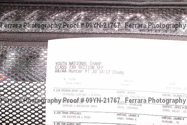 Proof Number 09yn-21767