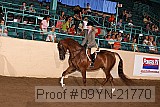 09yn-21770 thumbnail