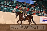 09yn-21771 thumbnail