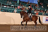 09yn-21772 thumbnail