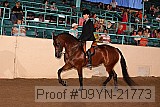 09yn-21773 thumbnail