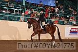 09yn-21775 thumbnail