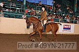 09yn-21777 thumbnail
