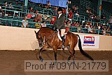 09yn-21779 thumbnail