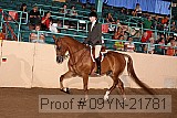 09yn-21781 thumbnail