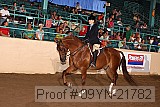 09yn-21782 thumbnail