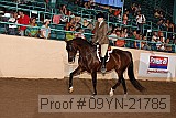 09yn-21785 thumbnail