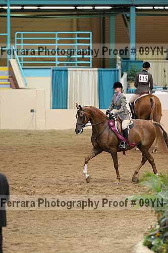 Proof Number 09yn-21815