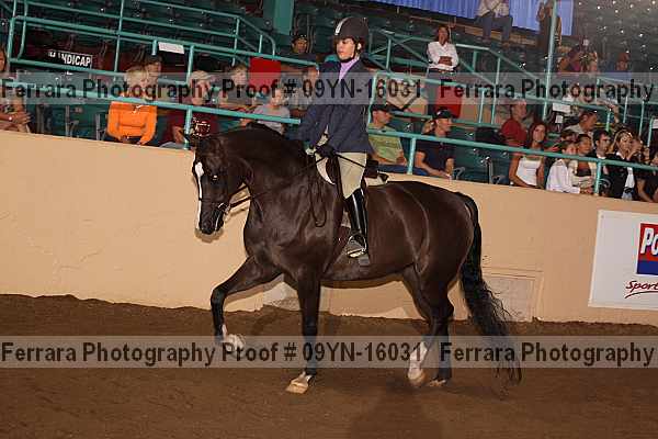 Proof Number 09yn-16031