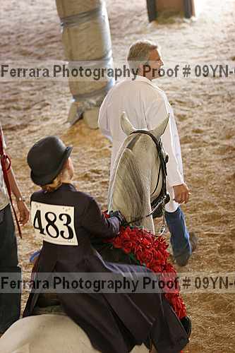 Proof Number 09yn-09284