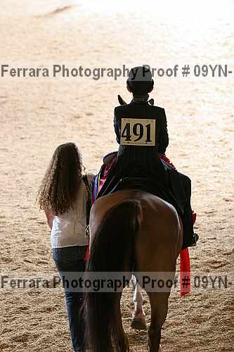 Proof Number 09yn-11003