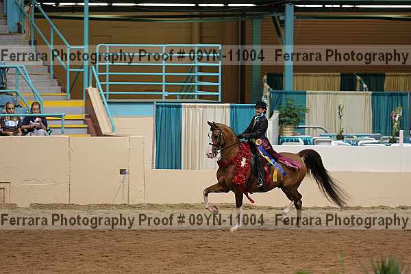 Proof Number 09yn-11004
