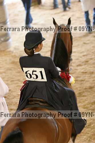 Proof Number 09yn-11010