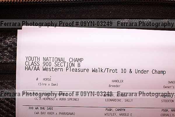 Proof Number 09yn-03249