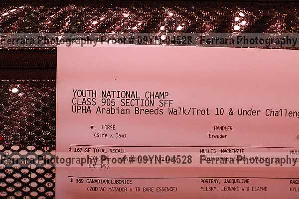 Proof Number 09yn-04528