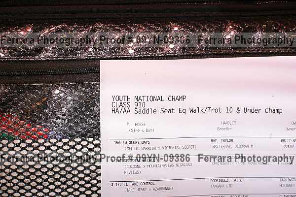 Proof Number 09yn-09386