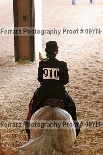 Proof Number 09yn-09512