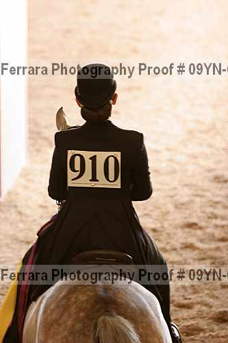 Proof Number 09yn-09513