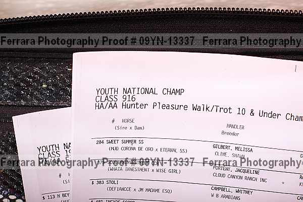 Proof Number 09yn-13337
