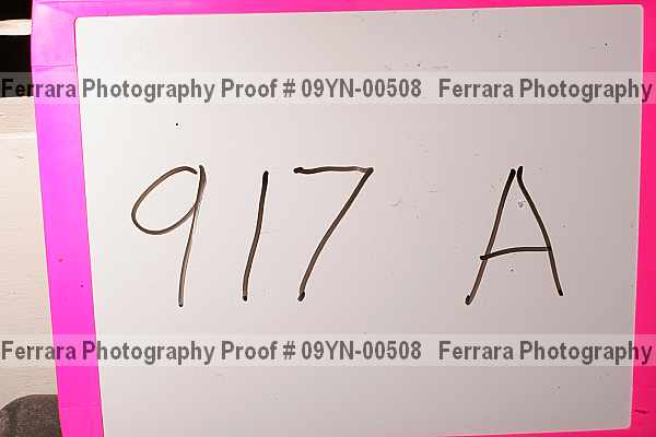 Proof Number 09yn-00508