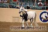 09yn-15415 thumbnail