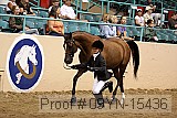 09yn-15436 thumbnail